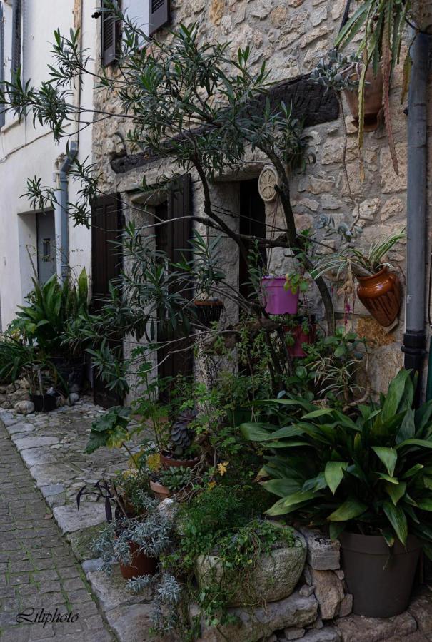 Апартаменты Cosy Provencal Belgentier Экстерьер фото